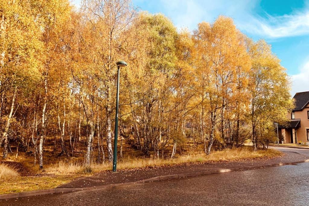 Cairngorm Cottage Aviemore Luaran gambar